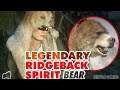 Red Dead Redemption 2 - Sampling Legendary Ridgeback Spirit Bear
