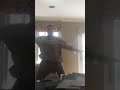 the bear cha cha cha . dan's dance video .