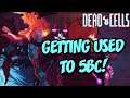 Time To Learn 5BC For The Final Challenge! How Far Will We Go? | Let's Play Dead Cells