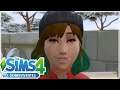 🌴 TRONCO TRIPLO! QUEM VOCÊ VAI ELIMINAR? | The Sims 4 | Sobreviventes #11