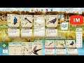 Wingspan - Complete How To Play Tutorial with Tips and Tricks Mobile