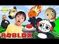 DON'T TOUCH THE BUTTON IN ROBLOX! RYAN VS COMBO PANDA LET'S PLAY