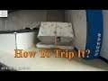 How To Trip It?