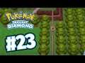 Pokemon Brilliant Diamond Gameplay - Route 212 - Walkthrough Part 23