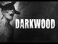 Twitch Flushes Aris Playing Darkwood: First Try