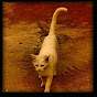 Ahmad Fuad
