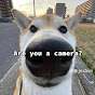 AmazingCori_YT
