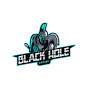 Black Hole Gaming