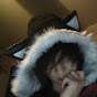 Count_Meowza