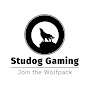 Studog