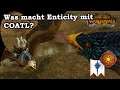 Das Coatl! Was kann Enticity damit machen? Echsenmenschen vs Hochelfen - Total War: Warhammer MP