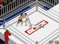 Fire Pro Wrestling 2 (GAMEBOY ADVANCE) Ryoko Vs Rocky With Managers