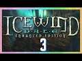 💞 Icewind Dale 1 Enhanced Edition | Part 3: First Quest Done & Journey Preparation | RPG Classics 💞