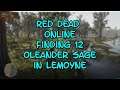 Red Dead ONLINE Finding 12 Oleander Sage in Lemoyne