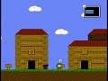 [TAS] Linux Super Win the Game by letcreate123 in 06:43.65