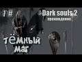Dark souls 2 - ТЁМНЫЙ МАГ Бир ПвП