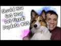 Should You Get Your Pet Fixed? - Pupdate #25 - MumblesVideos Puppy Video