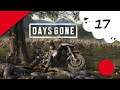 🔴🎮 Days Gone - ps4 - 17