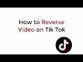 How to Reverse on TikTok (2020)