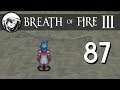 Let's Play Breath of Fire 3: Part 87