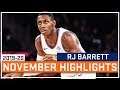 RJ Barrett November Highlights - 2019-20 NBA Season - New York Knicks