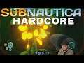CAN'T TRUST CHAT, MAN! - Subnautica Hardcore Gameplay - 25 - Let's Play Subnautica