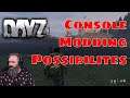DayZ | Console | Modding possibilities with init.c file access