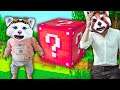 TATA NOCIV Vs BEBE LAVI Pe LUCKY BLOCKS RACE! M-a Batut?!
