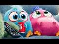 THE ANGRY BIRDS MOVIE 2 - 11 Minutes Clips + Trailers (2019)