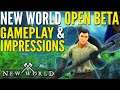New World Open Beta Gameplay and Impressions - Will I Buy It?