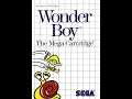 Wonder Boy Sega Master System Review