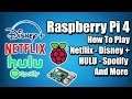 How To Play Netflix Disney+ HULU Spotify And More On The Raspberry Pi 4 With Raspbian