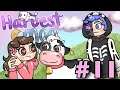 My Girlfriend Learns How Stupid I Can Be... - Harvest Moo (Minecraft Modded Couples Series) |Ep.11|