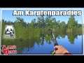 Russian Fishing 4 ★ Angeln Am Karpfenparadies | Gameplay Deutsch