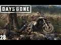 Days Gone - PS4 - Let´s Play 28 - Ich krieg euch alle