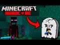 Minecraft Hardcore Let's Play Episode 3 | The End