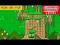 Nintendo's Auswahl: ZELDA Community Level: Zelda OoT: Deku Tree [RQN-JWJ-FQF]