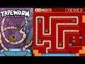 Tapeworm Disco Puzzle NES