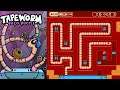 Tapeworm Disco Puzzle NES