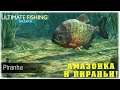 Амазонка и пираньи! - Ultimate Fishing Simulator - Вечерний стрим!