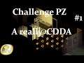 A really C:DDA #1 (Project Zomboid fr Challenges)