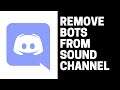 How to Disconnect Bots From Sound Channel on Discord
