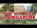 Places to go when in SINGAPORE.