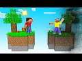 SKY BLOCK BUT Every Minute IT DISAPPEARS! (insane)
