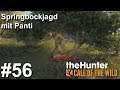 Springbockjagd mit Panti 🦌| theHunter Call of the Wild #56 | Deutsch | Gameplay | UwF