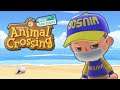 Animal Crossing: New Horizons - Nothing Special (Review)