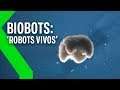 BIOBOTS: Así son los "ROBOTS VIVOS" que prometen revolucionar la CIENCIA MODERNA