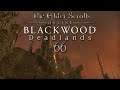 Let's Play ESO - Blackwood: Deadlands [Blind] [Deutsch] Part 66 - Die Elendsspitze