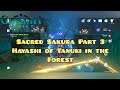 Sacred Sakura Part 3: Hayashi of Tanuki in the Forest [Genshin Impact]