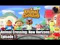 The BIGGEST Face Turn of 2020 | Animal Crossing: New Horizons [Episode 1]